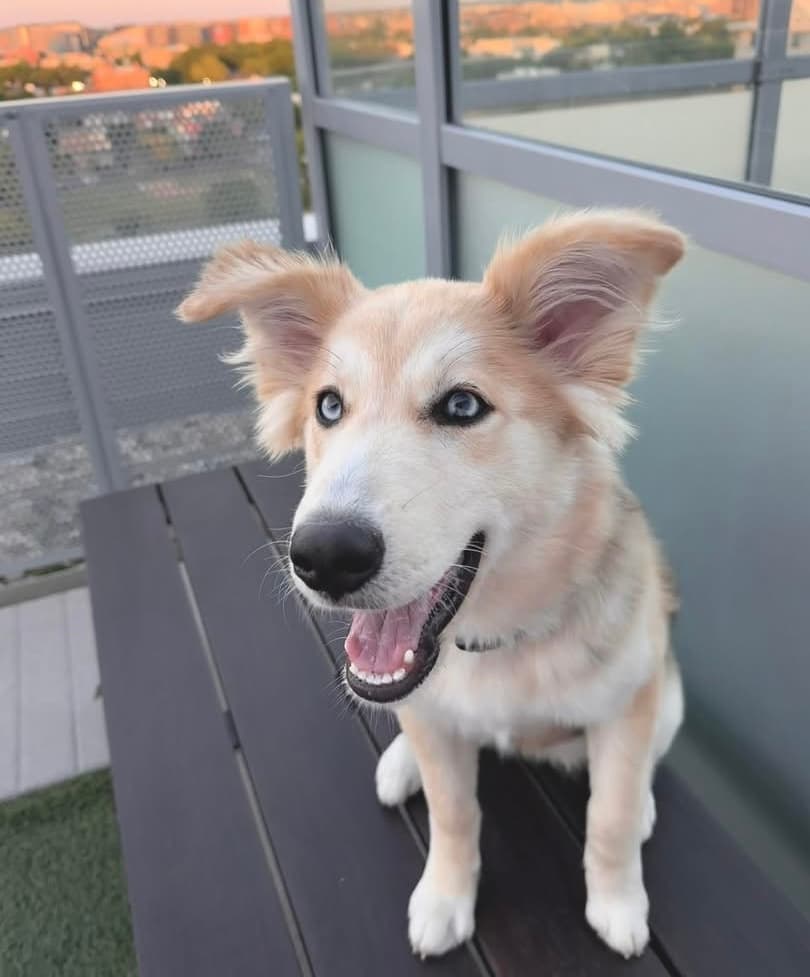 Yuna (now Bailey)